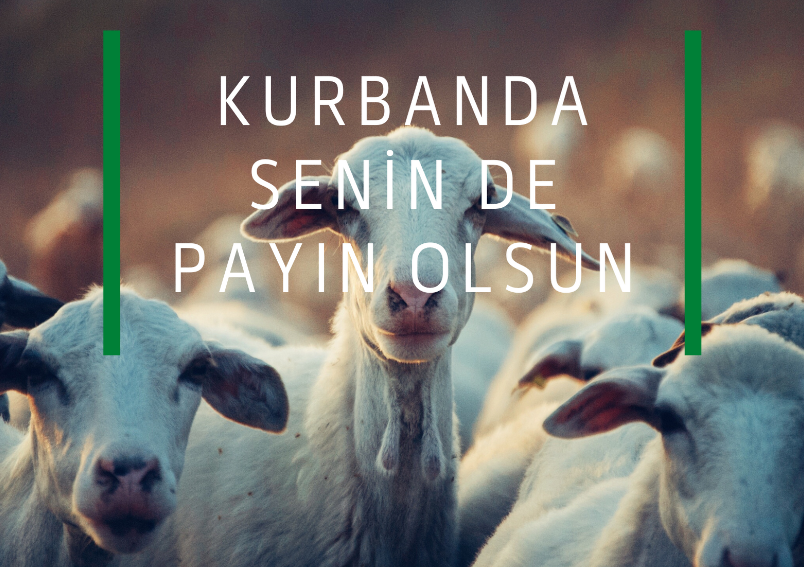 Kurbanda Payınız Olsun